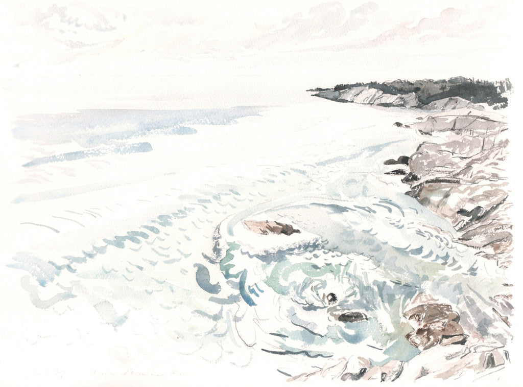 Acadia Shoreline and Surf