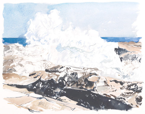 Schoodic Point Surf
