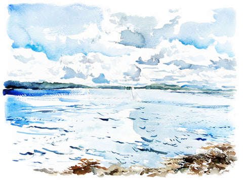 Schoodic Sailboats